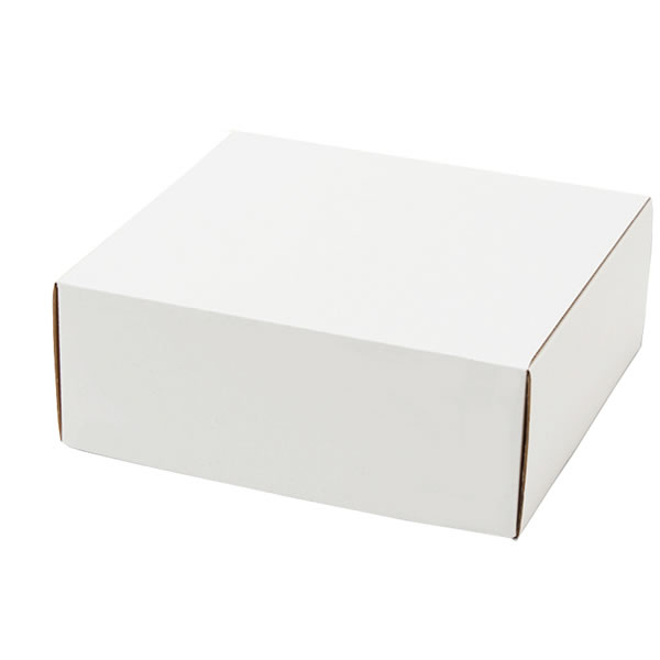 フリーBOX　F－4　5束（50枚）【イージャパンモール】