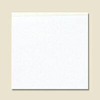 СޡM̵ϡ8«4000ˡڥѥ⡼