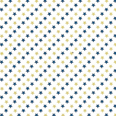 桡Ⱦ͡10«1000ˡڥѥ⡼