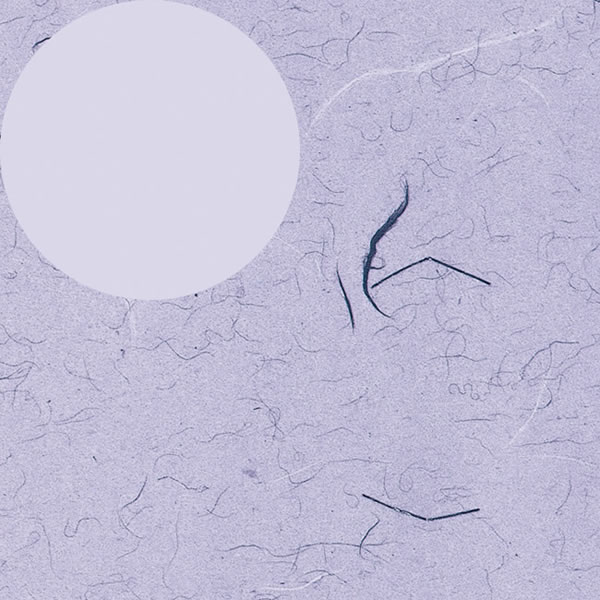 包装紙 半才 ふうび 紫 10束(1000枚)【イージャパンモール】