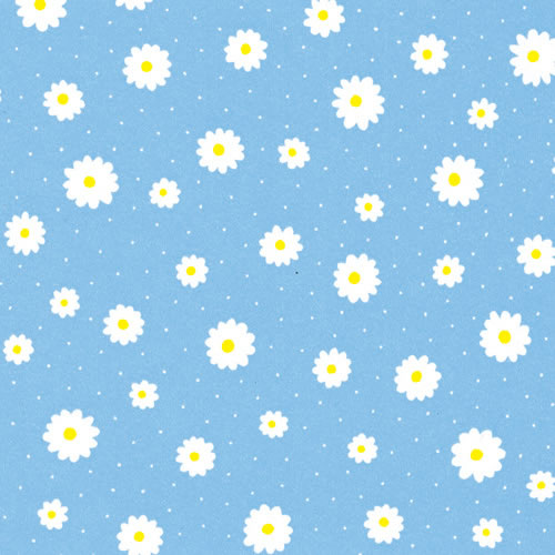 桡Ⱦøץꥨ롡B10«1000ˡڥѥ⡼