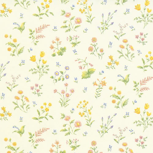 桡Ⱦͥ͡ȡ10«1000ˡڥѥ⡼