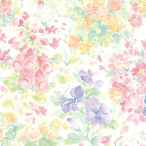 桡Ⱦ͡10«1000ˡڥѥ⡼