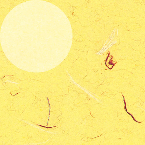 包装紙 半才 きはだ 10束(500枚)【イージャパンモール】