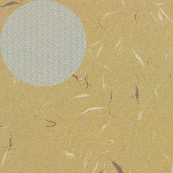 桡Ⱦ͡󤲡10«500ˡڥѥ⡼