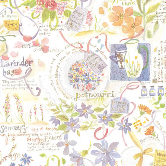 桡Ⱦ͡ݥץꥬǥ10«500ˡڥѥ⡼