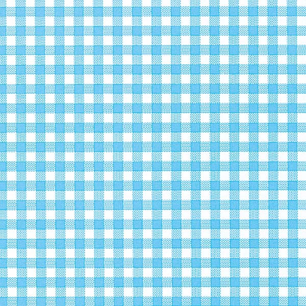 包装紙 半才 ギンガム2 LB 10束(1000枚)【イージャパンモール】