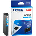 【送料無料】【個人宅届け不可】【法人(会社・企業)様限定】インクカートリッジ シアン IB07CA 1個