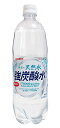 【送料無料】★まとめ買い★ サンガリア伊賀の天然水 強炭酸水1L ×12個【イージャパンモール】