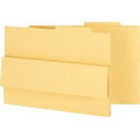ライオン事務器 持出しフォルダー A3 クリーム 1セット(10冊)