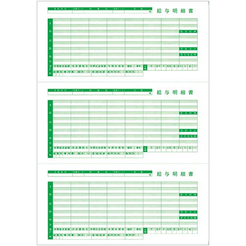 【送料無料】【個人宅届け不可】【法人（会社・企業）様限定】給与明細書III (ページプリンタ用・穴無) A4タテ 三分割 1冊(100枚)【イージャパンモール】