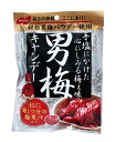【送料無料】★まとめ買い★ ノーベル 男梅キャンデー 80g ×6個【イージャパンモール】