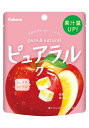 ★まとめ買い★ ピュアラルグミりんご 58g ×8個【イージャパンモール】(4)