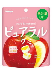 【送料無料】★まとめ買い★　ピュアラルグミりんご　58g　×8個【イージャパンモール】