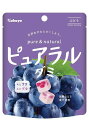 【送料無料】★まとめ買い★ ピュアラルグミぶどう 58g ×8個【イージャパンモール】