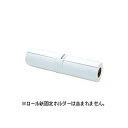 【送料無料】【個人宅届け不可】【法人(会社・企業)様限定】プロフェッショナルフォトペーパー(薄手光沢) 44インチロール 1118mm×30.5m 1本