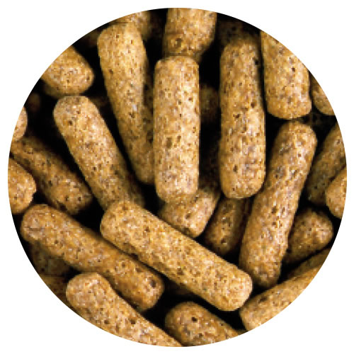 ����ץ���200g�����ʡ��򴹡�����󥻥��Բġۡڥ�������ѥ�⡼���