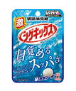 【送料無料】★まとめ買い★ UHA味覚糖 激シゲキックス極刺激ソーダ 20g ×10個【イージャパンモール】