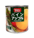 【送料無料】★まとめ買い★ TNO パインアップル スライス(8枚) SQ3号缶 425g ×24個【イージャパンモール】