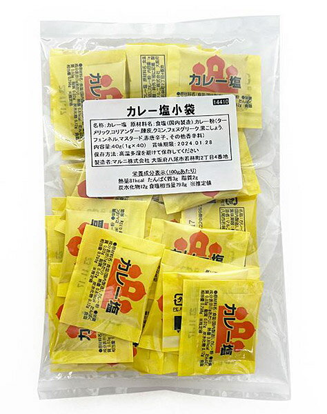 カレー塩 小袋（1g×100P）×10個