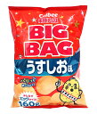 ★まとめ買い★　カルビー（株）　BIGBAGポテトチップスうすしお味　×12個【イージャパンモール】