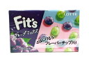 【送料無料】★まとめ買い★ ロッテ Fitsグレープミックス 12枚 ×10個【イージャパンモール】