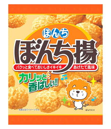 【送料無料】★まとめ買い★　ぼんち　ぼんち揚　65g　×20個【イージャパンモール】