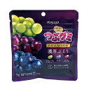 【送料無料】★まとめ買い★ 春日井製菓 つぶグミPREMIUM濃厚ぶどう 75g ×10個【イージャパンモール】