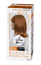 リーゼ 泡ブリーチ ナチュラルトーン 108ml【イージャパンモール】