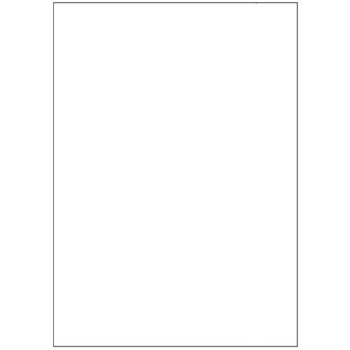 【送料無料】【個人宅届け不可】【法人（会社・企業）様限定】マルチプリンタ帳票 FSC森林認証紙 複写 A4ノーカーボン 白紙 1冊(100枚)【イージャパンモール】
