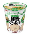 【送料無料】★まとめ買い★ 明星 青春という名のラーメン 純情でかポテト しおバター味 60g ×12個【イージャパンモール】