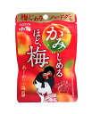 ★まとめ買い★ ロッテ あじわい小梅グミ 30g ×10個【イージャパンモール】