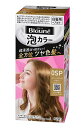 ★まとめ買い★ 花王 ブローネ泡カラー 0SP スパークリングブラウン 108ml ×24個【イージャパンモール】