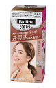 【送料無料】★まとめ買い★ 花王 ブローネ 泡カラー 2N モカブラウン 108ml ×24個【イージャパンモール】
