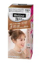 ★まとめ買い★ 花王 ブローネ 泡カラー 1N サンドベージュ 108ml ×24個【イージャパンモール】