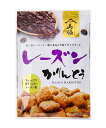 【送料無料】★まとめ買い★ 山脇 レーズンかりんとう 90g ×12個【イージャパンモール】