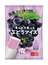 【送料無料】★まとめ買い★ 谷尾食糧工業 おうちで凍らせて食べる ぶどうアイス ×12個【イージャパンモール】