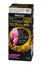 【送料無料】★まとめ買い★ 花王 ブローネワンプッシュカラー 3N 明るいナチュラリーブラウン 80g ×24個【イージャパンモール】