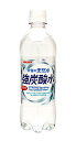 ★まとめ買い★ サンガリア 伊賀の天然水 強炭酸水PET 500ml ×24個【イージャパンモール】