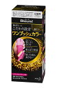 花王 ブローネワンプッシュカラー 4A アッシュブラウン 80g【イージャパンモール】