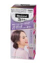 花王 ブローネ泡カラー 1L ラベンダーアッシュ 108ml【イージャパンモール】