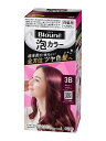 ★まとめ買い★ 花王 ブローネ泡カラー 3B ボルドーブラウン 108ml ×24個【イージャパンモール】