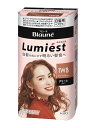 ★まとめ買い★ 花王 ブローネ ルミエスト ヘアカラー 1WB ウォームブラウン 108g ×24個【イージャパンモール】