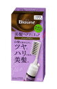 花王 ブローネ美髪ヘアマニキュア アッシュブラウン クシ付 72g【イージャパンモール】