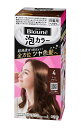 花王 ブローネ泡カラー 4 ライトブラウン 108ml【イージャパンモール】