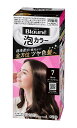 花王 ブローネ泡カラー 7 黒みのダークブラウン 108ml【イージャパンモール】