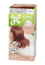 ★まとめ買い★ 花王 リーゼ 泡カラー シュガーピンク 115ml ×24個【イージャパンモール】