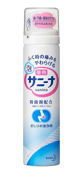 ★まとめ買い★　花王　薬用　泡サニーナ　70g　×48個【イージャパンモール】