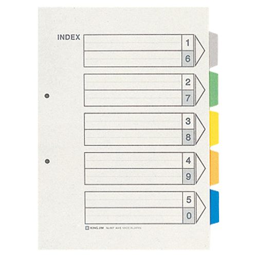 【送料無料】【個人宅届け不可】【法人（会社・企業）様限定】カラーインデックス　A4タテ　2穴　5色5..