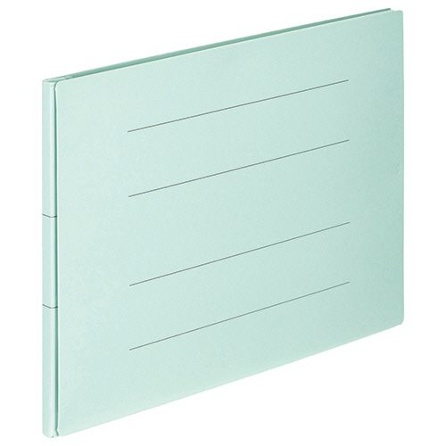 【送料無料】【個人宅届け不可】【法人（会社・企業）様限定】背幅伸縮フラットファイル(エコノミー)A4..